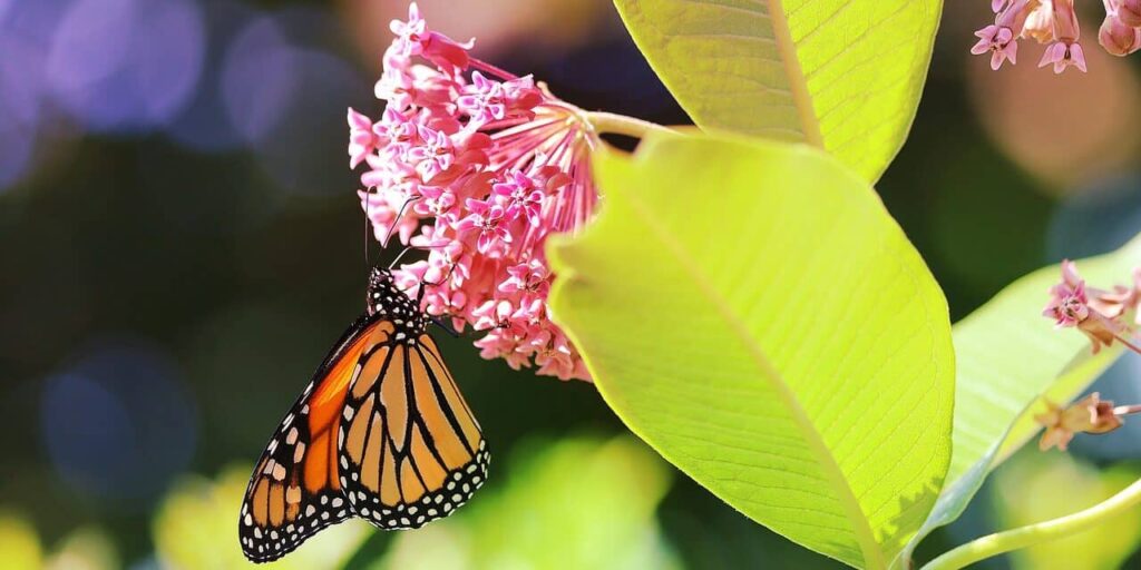 Усещането да кърмиш