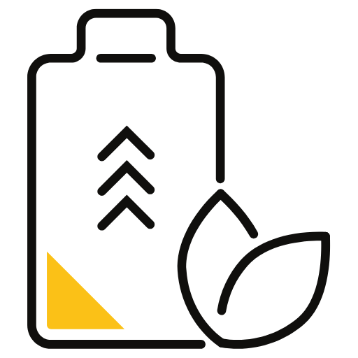 Алка-Це анемия