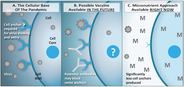 Механизъм на заразяване и предпазване